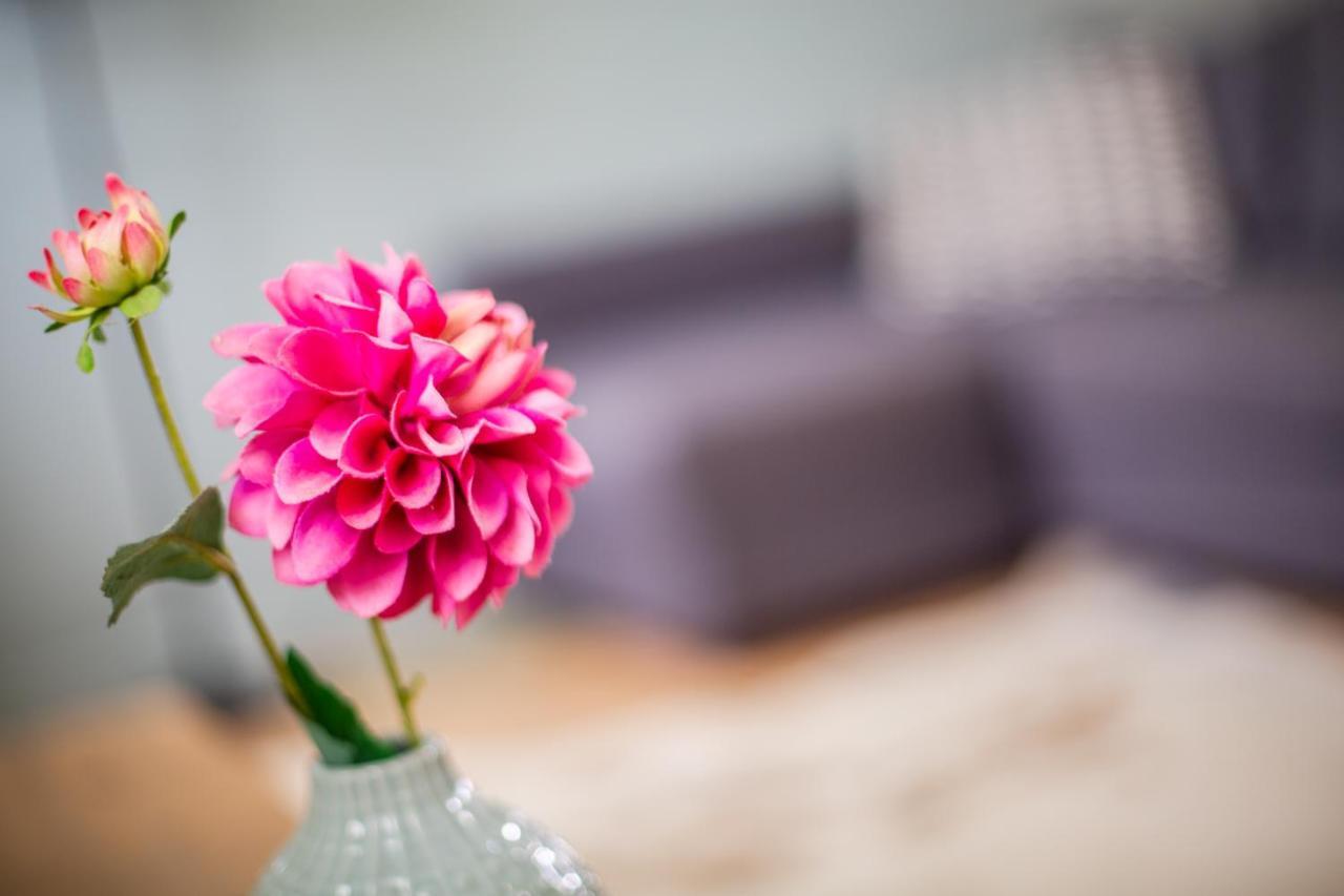 Boutique Hotel 'T Klooster วิลเลมสตัด ภายนอก รูปภาพ